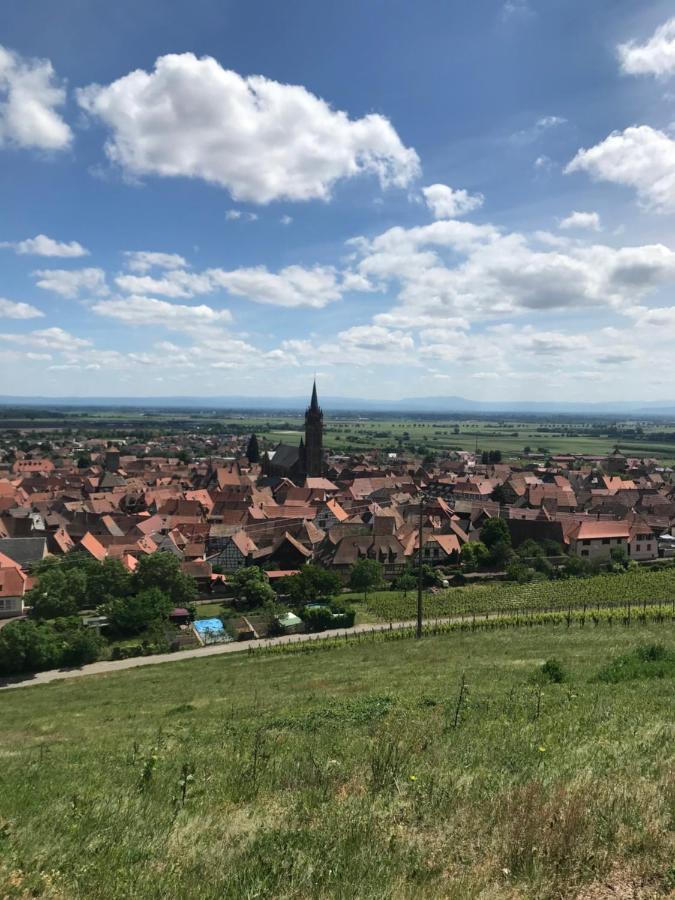 Gite Les clés des Vignes Dambach Exterior foto