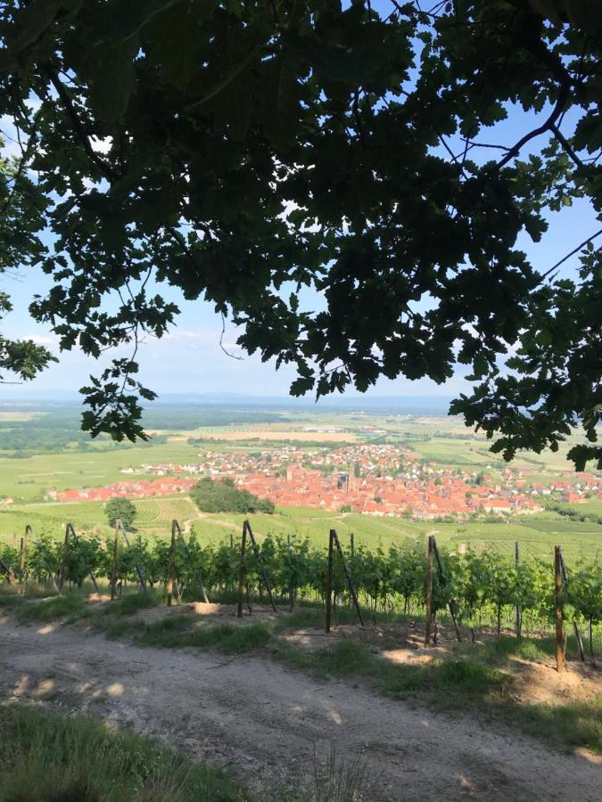 Gite Les clés des Vignes Dambach Exterior foto